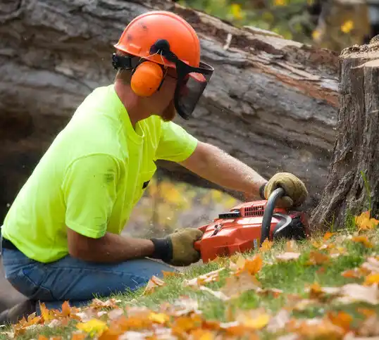 tree services St. Michaels